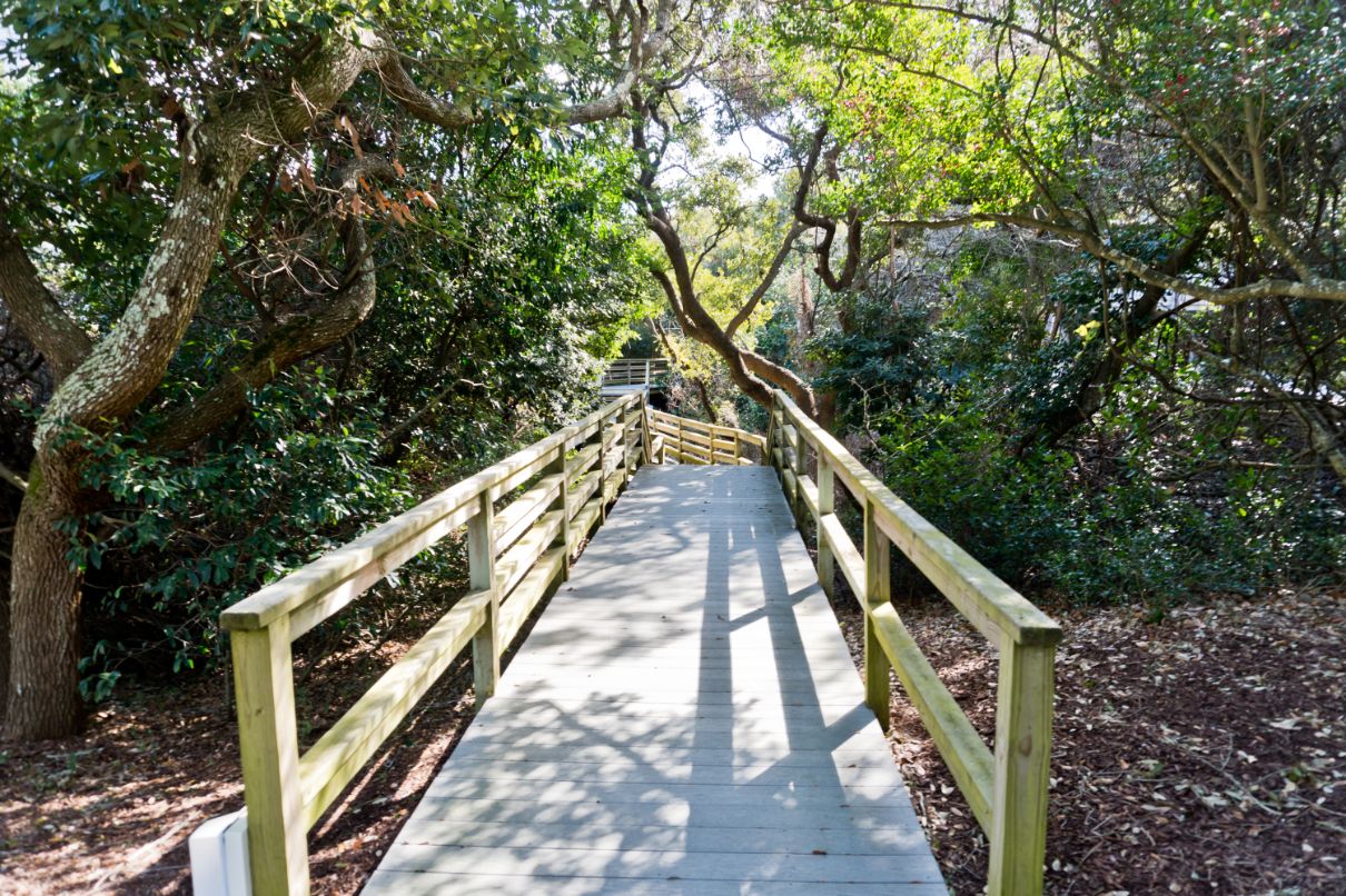 Wooden boardwalk through the maritime forest at Coral Shores 12